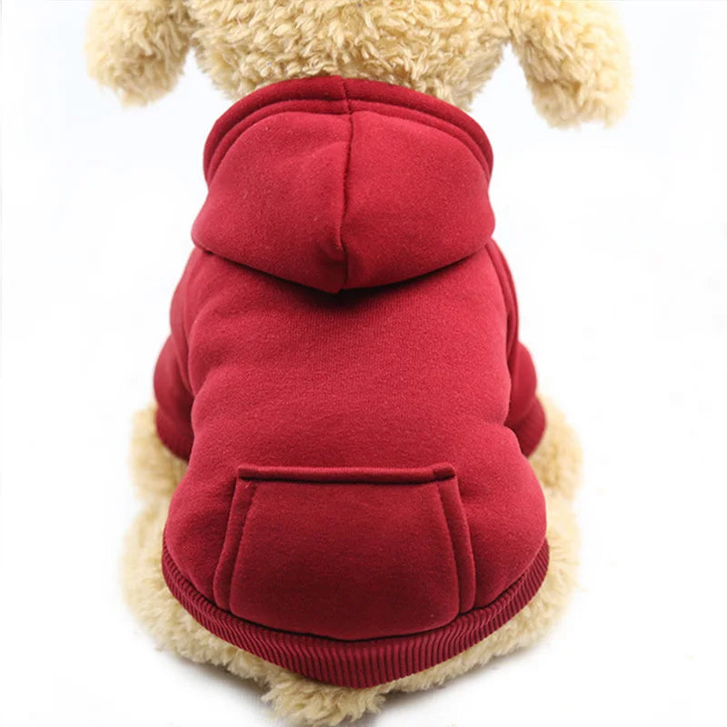 Pawsome Pup Hoodies & Snuggle Coats