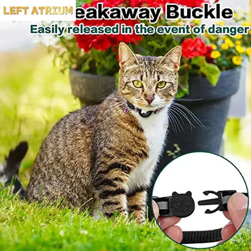 Safe & Stylish Cat AirTag Collar